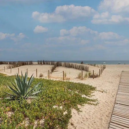 Primo Ximo * Denia